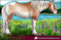 Horse Color:Silver Blue Onyx Pearl Tobiano