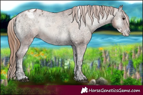 Horse Color:White Spotted Blue Onyx Ice Pearl Varnish 