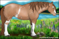 Horse Color:White Spotted Brown Pearl 