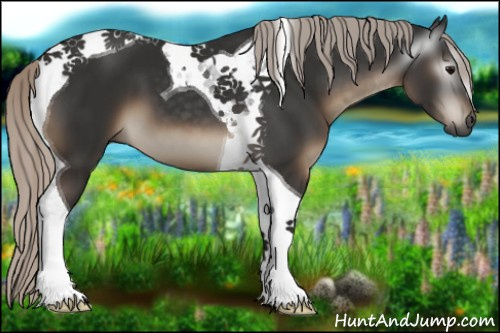 Horse Color:Gray Silver Black Tobiano 