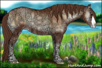 Horse Color:Brown Ice Pearl Onyx Appaloosa 