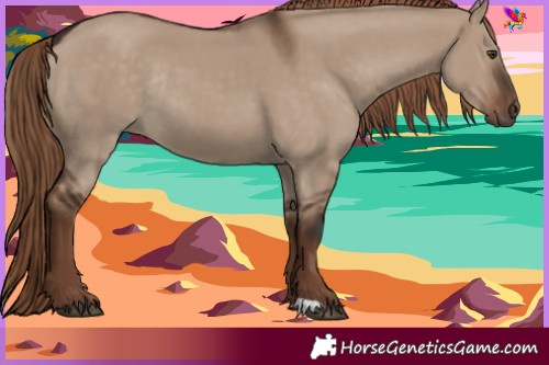 Horse Color:Liver Red Dun Rabicano 
