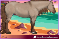 Horse Color:Liver Red Dun Rabicano 