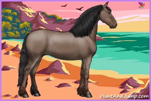 Horse Color:Liver Red Dun Rabicano 