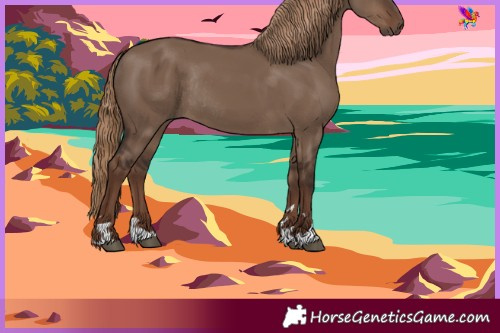 Horse Color:Liver Red Dun Rabicano 