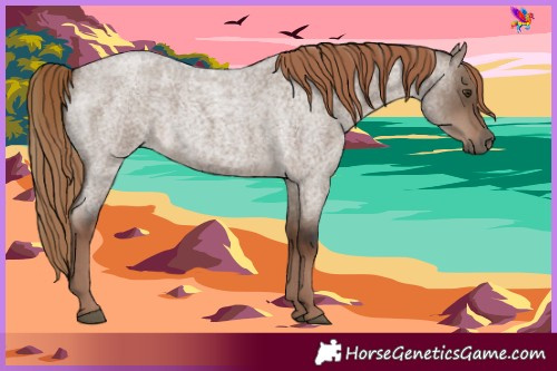 Horse Color:Liver Red Dun Roan Rabicano 