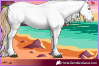 Horse Color:Red Roan Near Leopard
