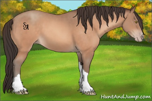 Horse Color:Sable Champagne