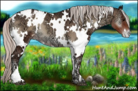 Horse Color:White Spotted Silver Blue Onyx Ice Appaloosa 