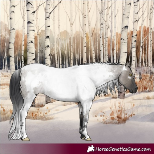 Horse Color:White Spotted Grullo Roan 