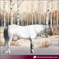 Horse Color:White Spotted Grullo Roan