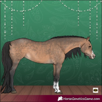 Horse Color:Brown Dun Sabino Rabicano 
