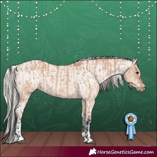 Horse Color:Bay Dun  and Silver Bay Tobiano Varnish 