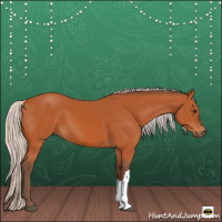 Horse Color:Silver Bay 