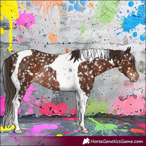 Horse Color:Liver Chestnut Tobiano Appaloosa Rabicano 