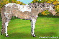 Horse Color:Chocolate Palomino Ice Roan Tobiano 