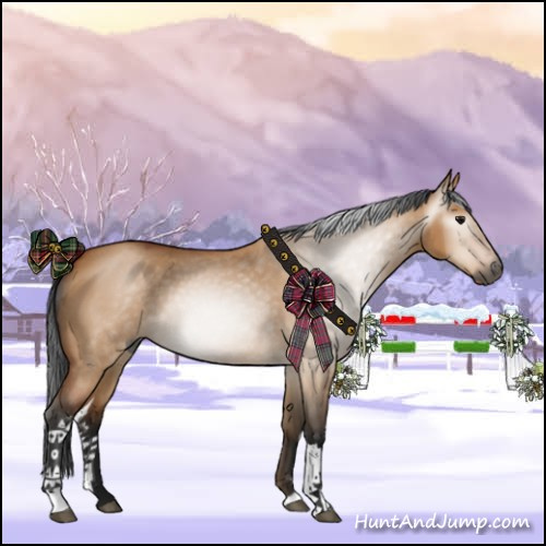 Horse Color:Gray Bay Roan Dun 