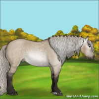 Horse Color:Gray Silver Grullo Roan 