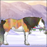 Horse Color:Nacre Buckskin Splash 