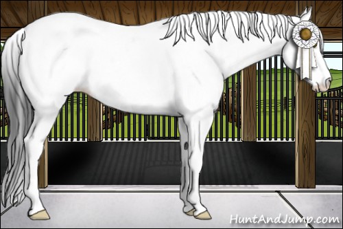 Horse Color:Brown Dun Sabino Appaloosa Brindle 