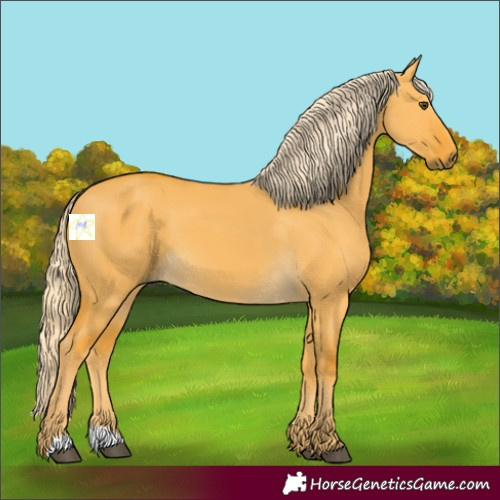 Horse Color:Palomino Dun 
