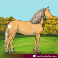 Horse Color:Palomino Dun 
