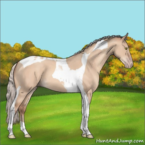 Horse Color:Silver Sable Champagne Dun Tobiano 