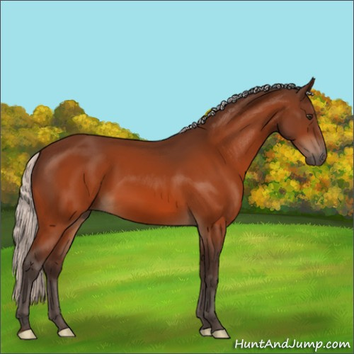 Horse Color:Silver Brown 