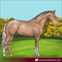 Horse Color:Silver Sable Champagne 