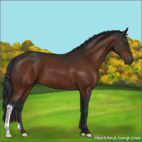 Horse Color:Brown 
