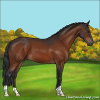Horse Color:Brown 