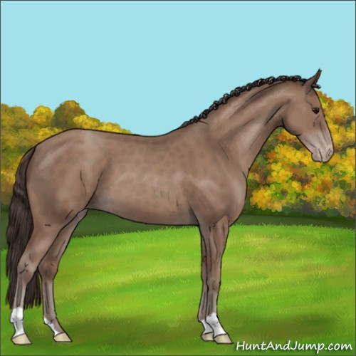 Horse Color:Classic Champagne 