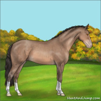 Horse Color:Sable Champagne 