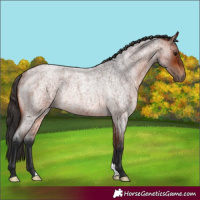 Horse Color:Bay Roan Rabicano 