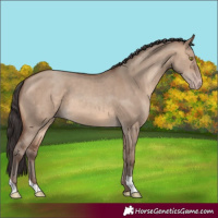 Horse Color:Sable Champagne Dun 