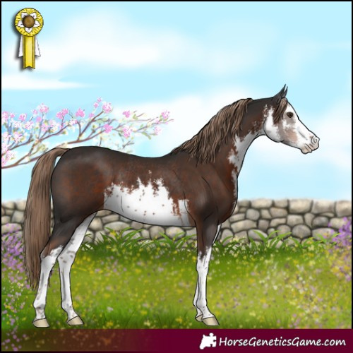 Horse Color:White Spotted Liver Chestnut Rabicano 