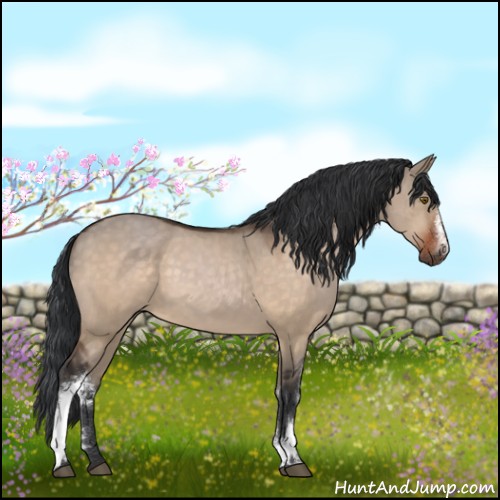 Horse Color:White Spotted Brown Dun Rabicano 