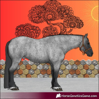 Horse Color:Blue Roan 