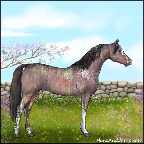 Horse Color:Nacre White Spotted Liver Red Dun and White Spotted Brown Dun