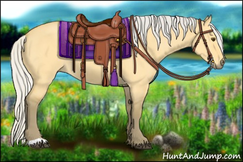 Horse Color:Silver Buckskin Dun 
