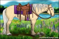 Horse Color:Silver Buckskin Dun