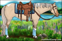 Horse Color:Silver Bay Dun Tobiano Rabicano 