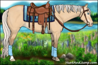 Horse Color:Gray Silver Perlino Dun