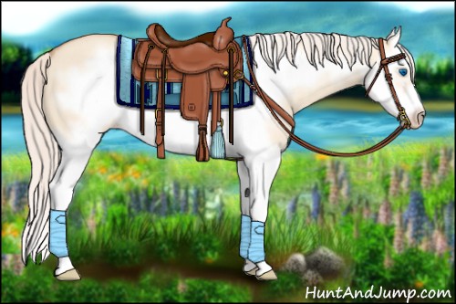 Horse Color:Silver Amber Champagne Dun Splash Frame 