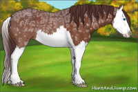 Horse Color:Chocolate Brown Ice Roan Splash 
