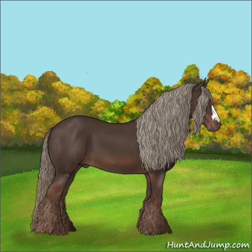 Horse Color:Liver Chestnut Mushroom 