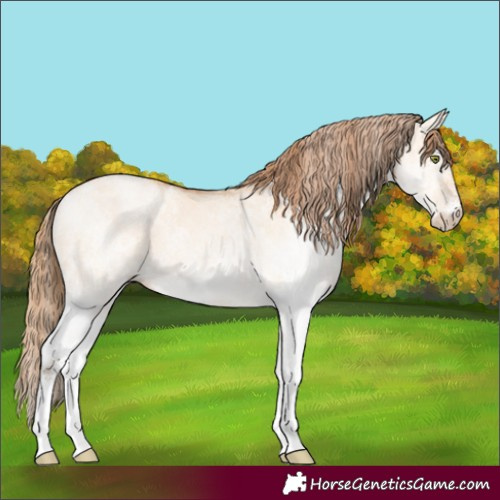 Horse Color:White Spotted Bay Pearl Dun