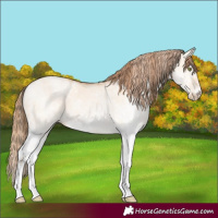 Horse Color:White Spotted Bay Pearl Dun