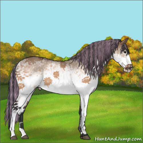 Horse Color:Painted White Spotted Bay Dun 
