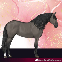 Horse Color:Grullo 